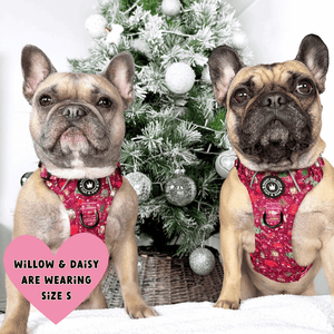 Trail & Glow® Dog Harness Bundle Set - Winter Wonderland - Bailey and Coco (UK)