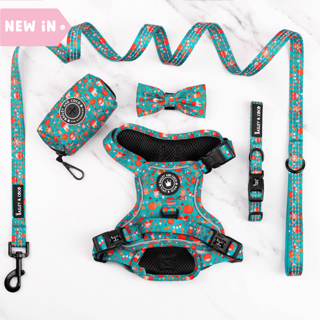 Trail & Glow® Dog Harness Bundle Set - Woodland Magic - Bailey and Coco (UK)