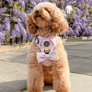 Trail & Glow® Dog Harness - Candy Floss - Bailey and Coco (UK)