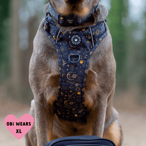 Trail & Glow® Dog Harness - Celestial - Bailey and Coco (UK)