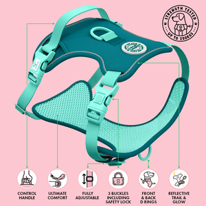 Trail & Glow Dog Harness - COLOUR DROPS® - Ice Teal - Bailey and Coco (UK)