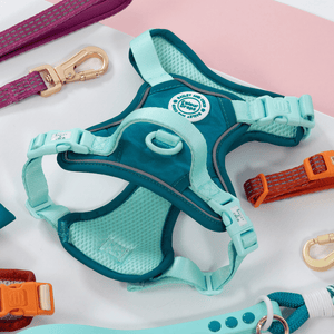 Trail & Glow Dog Harness - COLOUR DROPS® - Ice Teal - Bailey and Coco (UK)