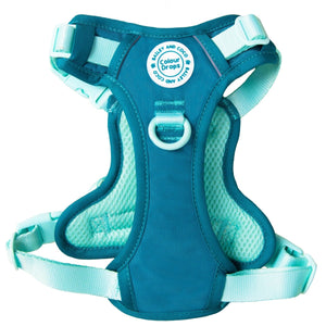 Trail & Glow Dog Harness - COLOUR DROPS® - Ice Teal - Bailey and Coco (UK)