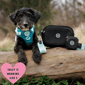 Trail & Glow Dog Harness - COLOUR DROPS® - Ice Teal - Bailey and Coco (UK)