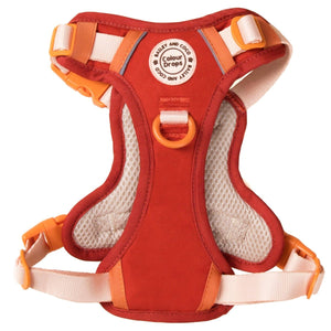 Trail & Glow® Dog Harness - COLOUR DROPS® - Spice it up - Bailey and Coco (UK)