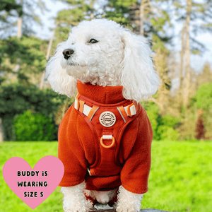 poochon dog harness