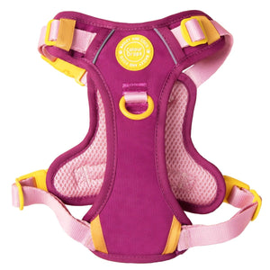 Trail & Glow Dog Harness - COLOUR DROPS® - We're Jammin' - Bailey and Coco (UK)