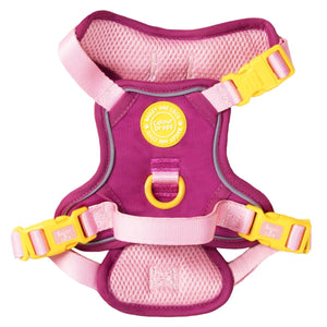 Trail & Glow Dog Harness - COLOUR DROPS® - We're Jammin' - Bailey and Coco (UK)