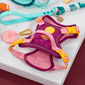 Trail & Glow Dog Harness - COLOUR DROPS® - We're Jammin' - Bailey and Coco (UK)