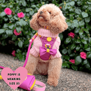 dog harness for cockapoo