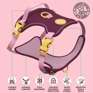 Trail & Glow Dog Harness - COLOUR DROPS® - We're Jammin' - Bailey and Coco (UK)