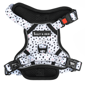 Trail & Glow® Dog Harness - Ditsy Dalmatian - Bailey and Coco (UK)