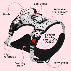 Trail & Glow® Dog Harness - Ditsy Dalmatian - Bailey and Coco (UK)