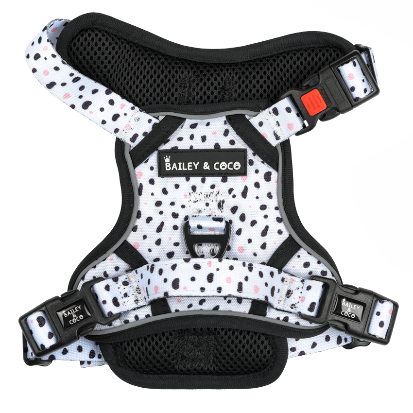 Trail & Glow® Dog Harness - Ditsy Dalmatian - Original Design - Bailey and Coco (UK)