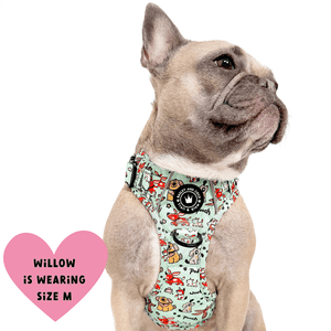 Trail & Glow® Dog Harness - Dog Party - Bailey and Coco (UK)