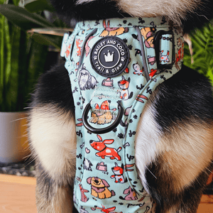 Trail & Glow® Dog Harness - Dog Party - Bailey and Coco (UK)