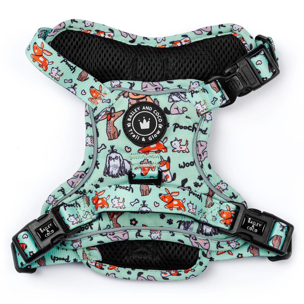 Trail & Glow® Dog Harness - Dog Party - Bailey and Coco (UK)