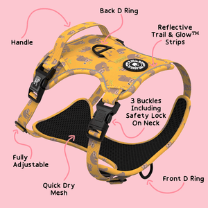 Trail & Glow® Dog Harness - Don't Hurry, Be Happy - Bailey and Coco (UK)