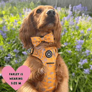 Trail & Glow® Dog Harness - Don't Hurry, Be Happy - Bailey and Coco (UK)