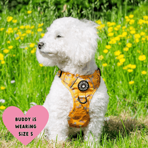 Trail & Glow® Dog Harness - Don't Hurry, Be Happy - Bailey and Coco (UK)