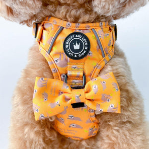 Trail & Glow® Dog Harness - Don't Hurry, Be Happy - Bailey and Coco (UK)