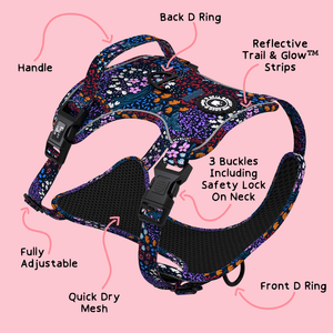 Trail & Glow® Dog Harness - Enchanted - Bailey and Coco (UK)