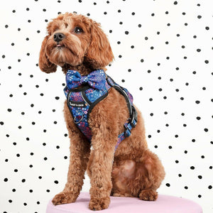 Trail & Glow® Dog Harness - Enchanted - Bailey and Coco (UK)