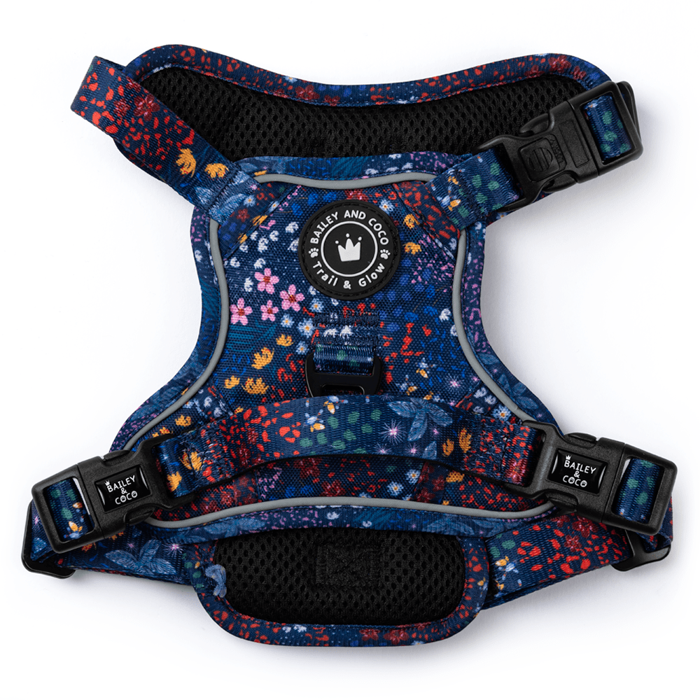 Trail & Glow® Dog Harness - Enchanted - Bailey and Coco (UK)