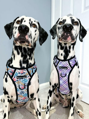 Trail & Glow® Dog Harness - Lilac Haze - Bailey and Coco (UK)