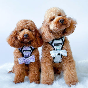 Trail & Glow® Dog Harness - Lilac Haze - Bailey and Coco (UK)