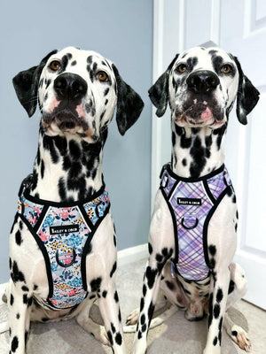 Trail & Glow® Dog Harness - Lilac Haze - Original Design - Bailey and Coco (UK)