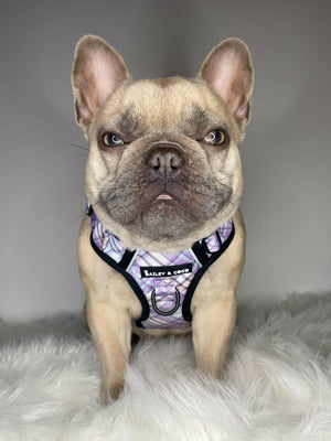 Trail & Glow® Dog Harness - Lilac Haze - Original Design - Bailey and Coco (UK)