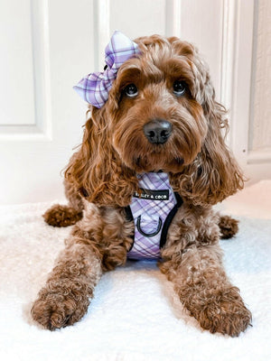 Trail & Glow® Dog Harness - Lilac Haze - Original Design - Bailey and Coco (UK)