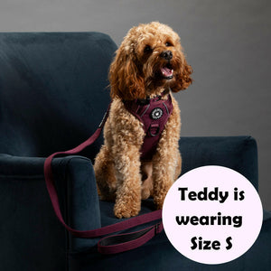 Trail & Glow® Dog Harness - Mulberry Tweed - Bailey and Coco (UK)