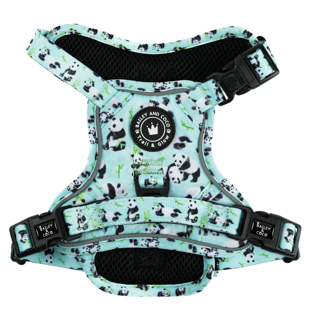 Trail & Glow® Dog Harness - Panda - monium - Bailey and Coco (UK)