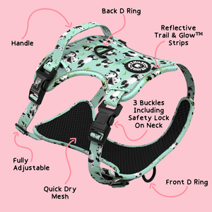 Trail & Glow® Dog Harness - Panda - monium - Bailey and Coco (UK)