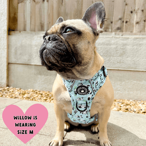 Trail & Glow® Dog Harness - Panda - monium - Bailey and Coco (UK)