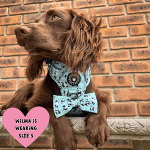 Trail & Glow® Dog Harness - Panda - monium - Bailey and Coco (UK)