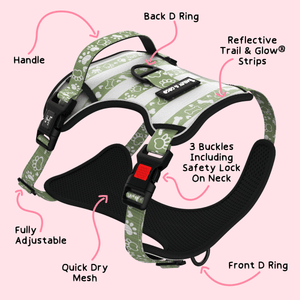 Trail & Glow® Dog Harness - Peppermint Paws - Bailey and Coco (UK)