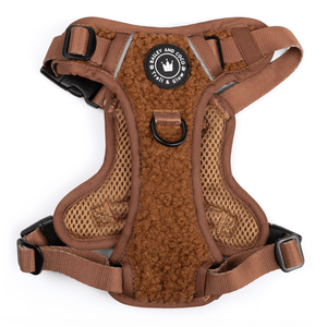 Trail & Glow® Dog Harness - Teddy Bear - Bailey and Coco (UK)