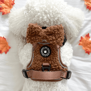 Trail & Glow® Dog Harness - Teddy Bear - Bailey and Coco (UK)