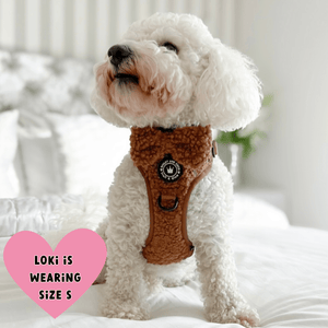 Trail & Glow® Dog Harness - Teddy Bear - Bailey and Coco (UK)