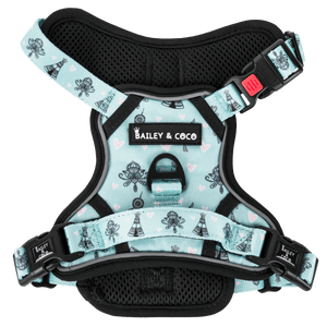 Trail & Glow® Dog Harness - The Charity One - Bailey and Coco (UK)