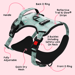 Trail & Glow® Dog Harness - The Charity One - Bailey and Coco (UK)