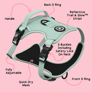 Trail & Glow® Dog Harness - The Eggshell Blue One - Bailey and Coco (UK)