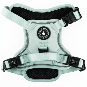 Trail & Glow® Dog Harness - The Eggshell Blue One - Bailey and Coco (UK)