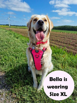 Trail & Glow® Dog Harness - The Hot Pink One - Bailey and Coco (UK)