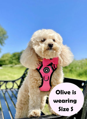 Trail & Glow® Dog Harness - The Hot Pink One - Bailey and Coco (UK)