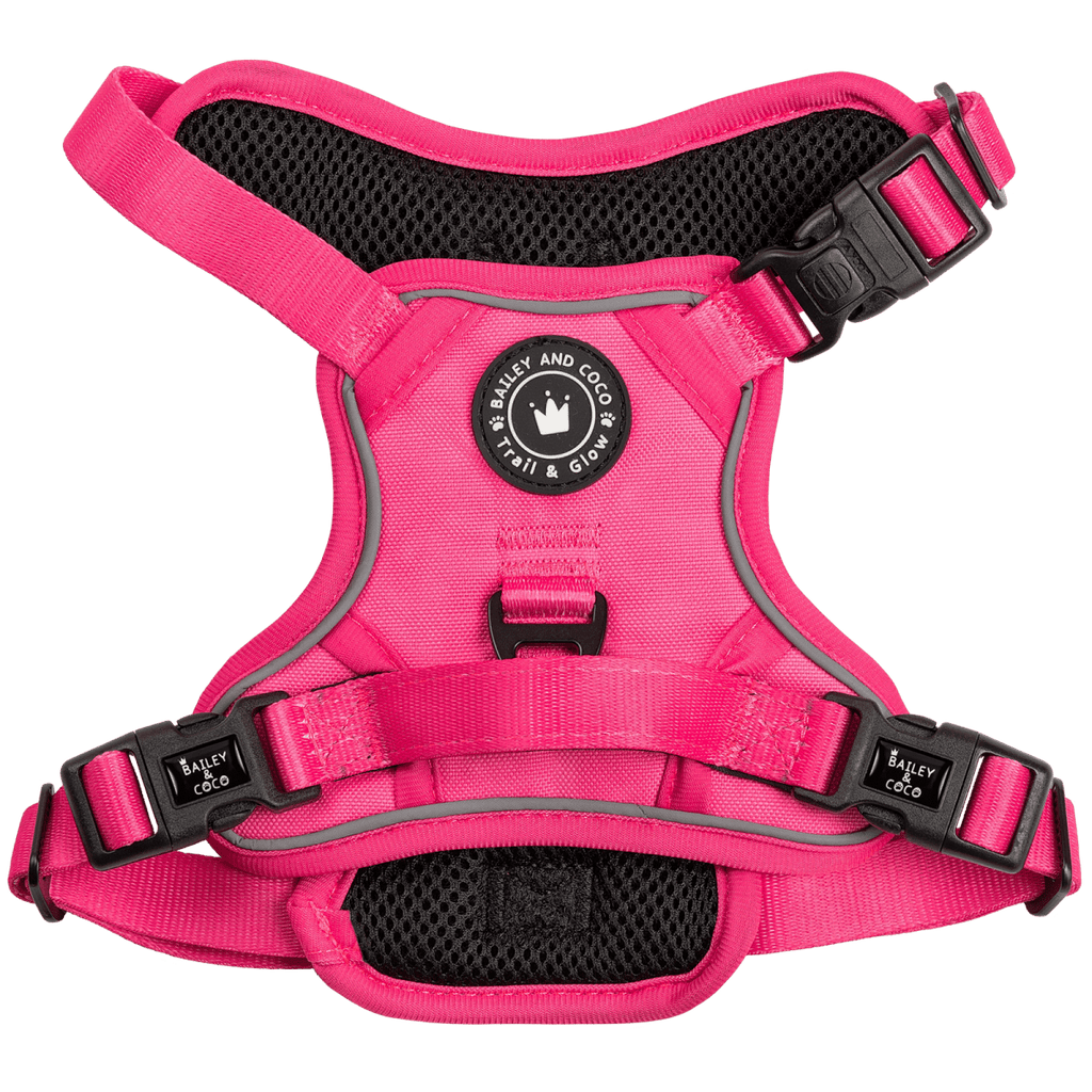 Pink spiked dog harness best sale