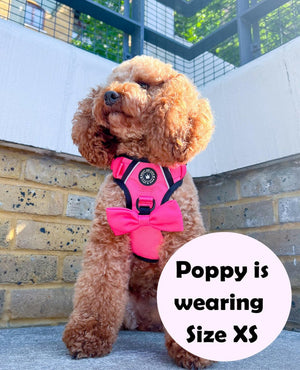 Trail & Glow® Dog Harness - The Hot Pink One - Bailey and Coco (UK)